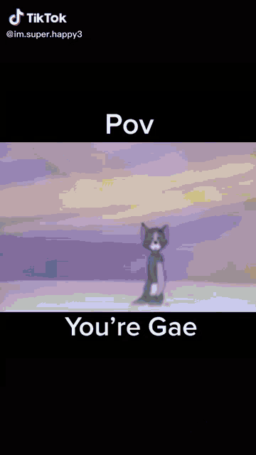 a video of a person swimming in the ocean with the words pov you 're gae on the bottom .