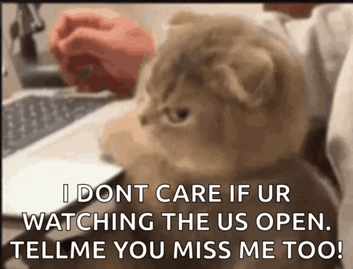 a cat is sitting in front of a laptop with the words i dont care if ur watching the us open tell me you miss me