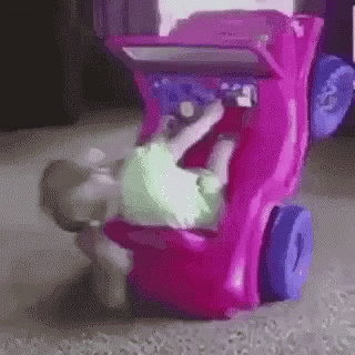 Snapchat They See Me Rollin GIF - Snapchat They See Me Rollin Girl GIFs