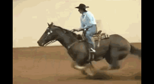 Barrelracing Horse GIF - Barrelracing Horse GIFs