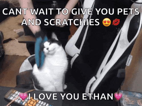 a picture of a cat with the words cant wait to give you pets and scratchies