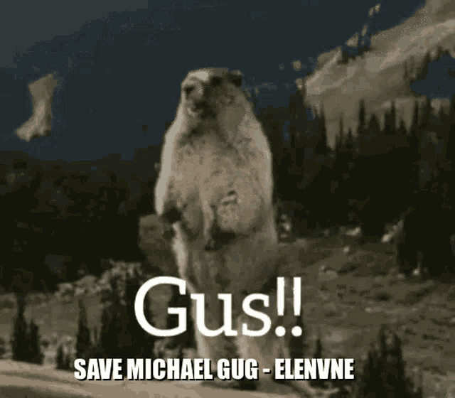 Gus Save Michael Gug GIF - Gus Save Michael Gug GIFs