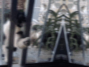 a blurry picture of a building with a reflection of a plant in the window