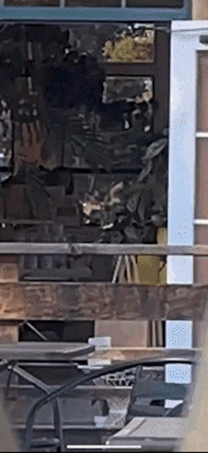 a squirrel is looking out a window on a deck