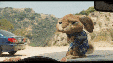 a stuffed rabbit in a blue plaid shirt is standing in front of a car