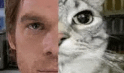 a close up of a man 's face next to a cat 's face .