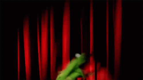 Kermit Freaking Out GIF - Kermit The Frog Crazy Insane GIFs