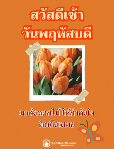 a picture of orange flowers is taped to an orange background with siambest review written below it