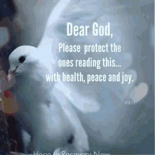 a picture of a white dove with a quote that says " dear god please protect the ones reading this with health peace and joy "
