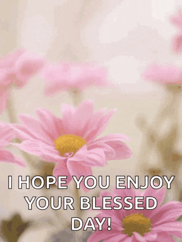 a happy mother 's day card with pink flowers