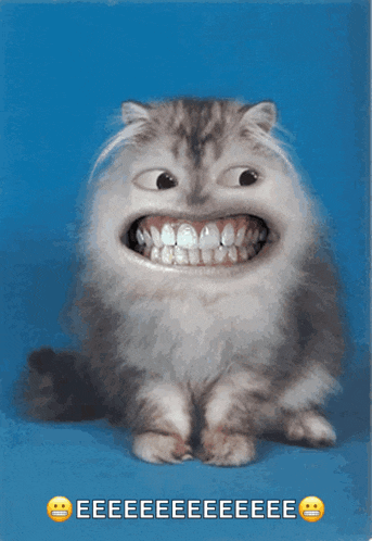 a cat with a big smile on its face and the words eeeeeeeeeee on the bottom