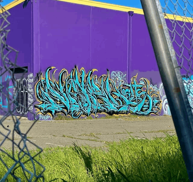 a purple building with graffiti on it and a chain link fence behind it