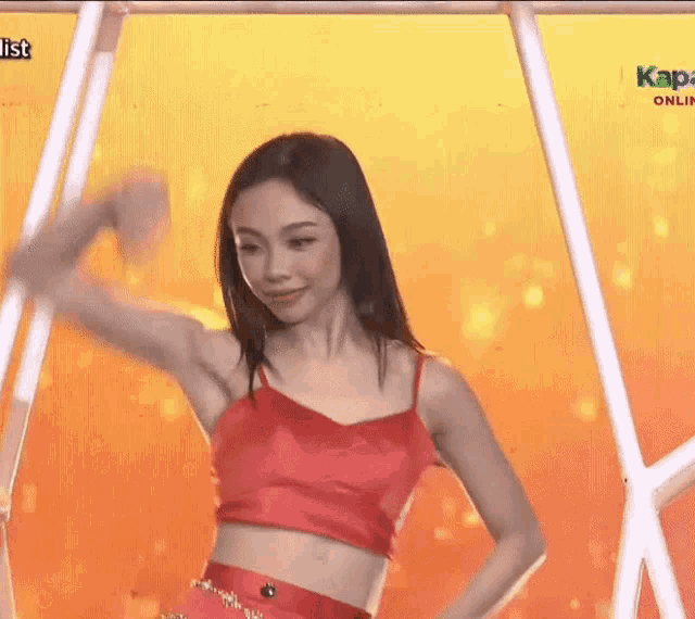 a woman in a red crop top is dancing on a swing .