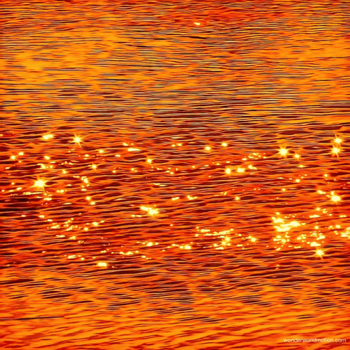 Orange Sea GIF - Orange Sea GIFs