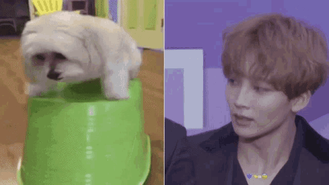 a dog sitting on top of a green bucket next to a man in a suit