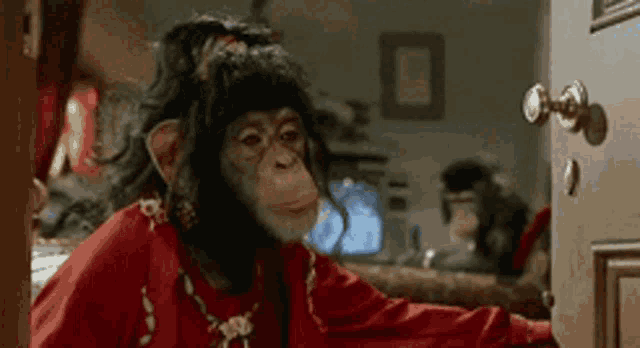 a chimpanzee wearing a red shirt is standing in a doorway .