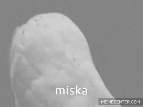 Miska GIF - Miska GIFs