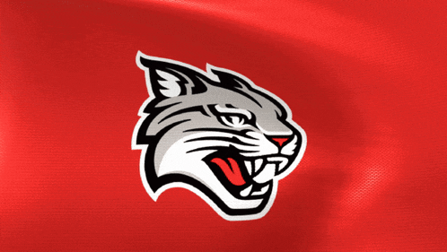 a red background with a logo of a cat