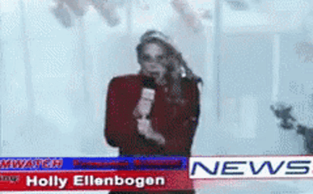 holly ellenbogen is a news anchor on the channel