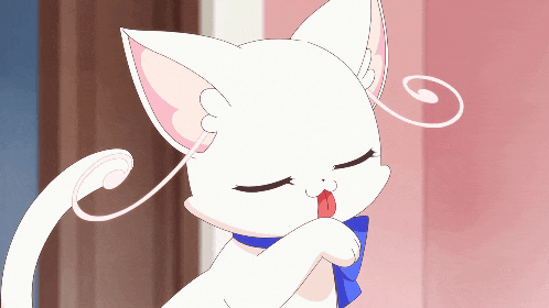 a white cat with a blue bow on its neck