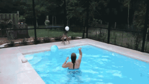 Quit Losing Your Ball, Human GIF - Boxer Dog Play GIFs