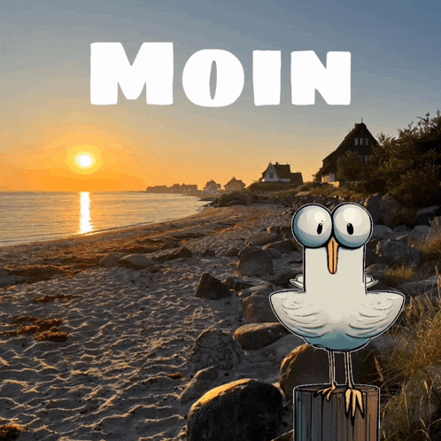 a cartoon of a seagull on a beach with the word moin below it