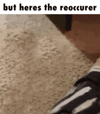 But Heres The But Heres The Reoccurer GIF - But Heres The But Heres The Reoccurer Cat GIFs