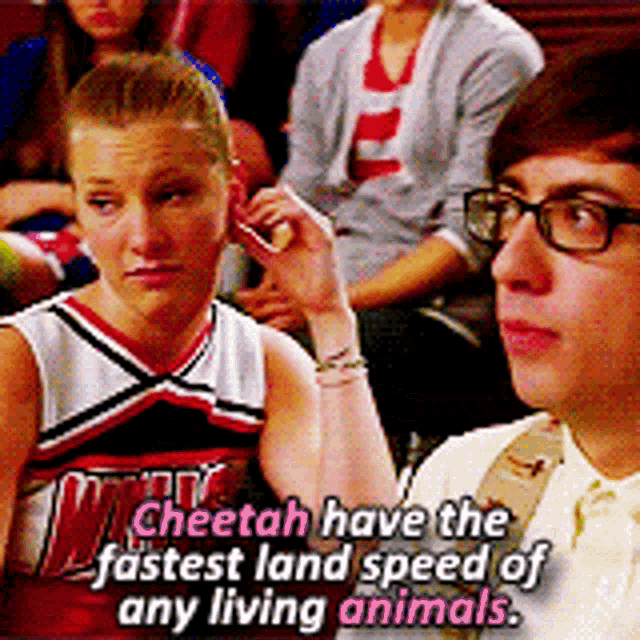 a cheetah have the fastest land speed of any living animals .