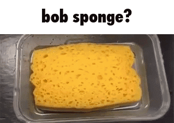 Bob Sponge Sponge Bob GIF - Bob Sponge Sponge Bob Confused GIFs