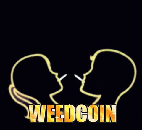 a logo for weedcoin with a marijuana leaf on a coin