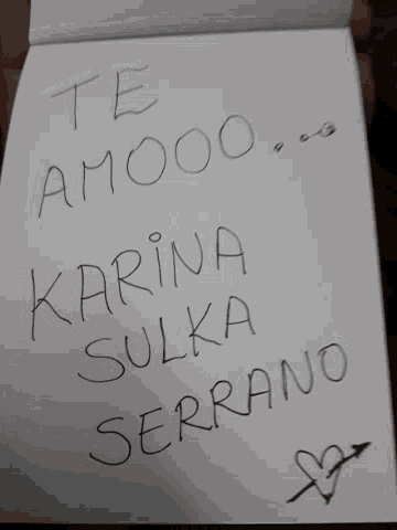 a piece of paper that says " the amoo " and " marina " on it