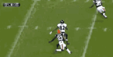 a football player with the number 23 on his jersey is running down the field