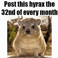 a picture of a hyrax with the words post this hyrax the 32nd of every month below it