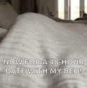 a cat is laying on a bed with the words `` now for a 48-hour date with my bed '' on it .