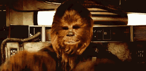 a close up of chewbacca 's face with a beard