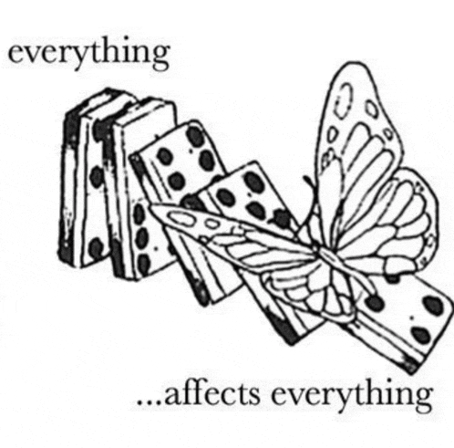 a black and white drawing of a butterfly and dominoes with the words `` everything affects everything '' .