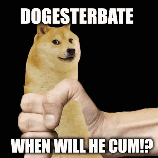 a hand is holding a doge with the caption " dogesterbate when will he cum ? "