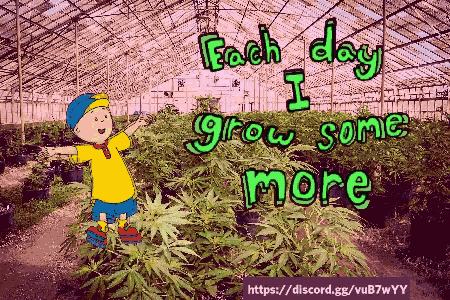 a cartoon of a boy in a greenhouse with the words " each day i grow some more " above him