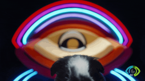 a dog is looking at a colorful eye with a rainbow behind it