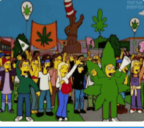a group of people are gathered in a park and one of them is dressed in a green marijuana leaf costume