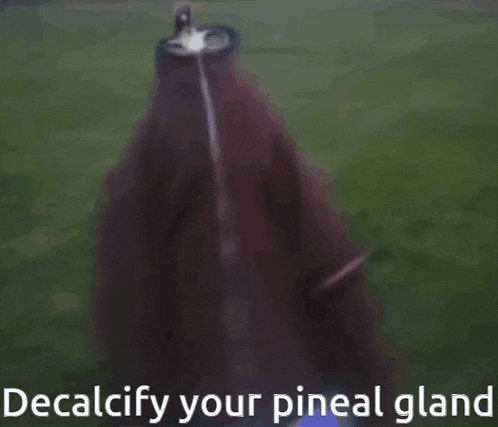 a picture of a cat with binoculars and the words " decalcify your pineal gland " below it