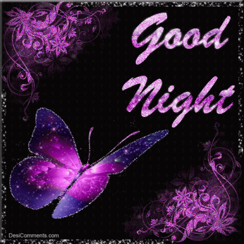 Good Night Butterfly GIF - Good Night Butterfly Flower GIFs