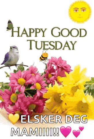 a happy tuesday card with flowers and a bird