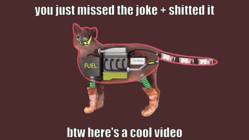 a picture of a cat with the caption you just missed the joke + shitted it