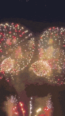 a bunch of fireworks are going off in the sky
