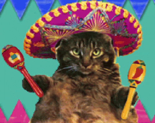 Frisk Mexican GIF - Frisk Mexican Funny GIFs