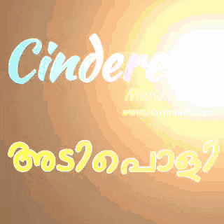 the word cinderella is written in blue and yellow on a brown background