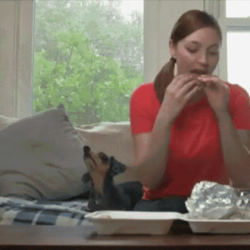 Mission Impawssible GIF - Mission Impawssible Dog GIFs