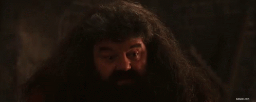 Hagrid Harry Potter GIF - Hagrid Harry Potter Hairy GIFs