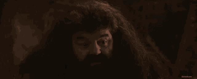 a man with long hair and a beard is looking at the camera in a dark room .